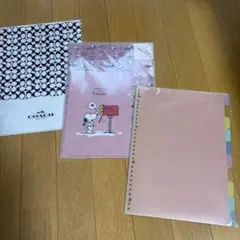 COACH PEANUTS クリアファイル セットのサムネイル