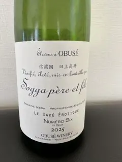 2026年最新】サケエロティックの人気アイテム - メルカリ