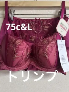 トリンプ 天使のブラ スリムライン582 ブラジャー2 E75＆ショーツ L