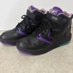 Item thumbnail for item 143793fe-8cc1-4702-b187-a77613b0e192