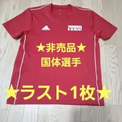 ☆非売品☆選抜支給品☆トレセン　国体　 アディダスadidas　サッカーのサムネイル