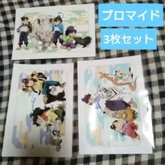 忍たま乱太郎　東武動物公園　トレーディングブロマイド　ver.B 集合３種類