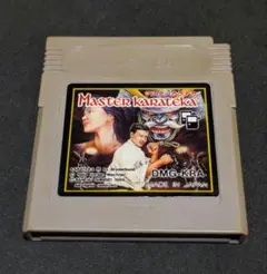 Master Karateka ゲームボーイ/GBマスターカラテカ レトロゲーム