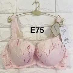 トリンプ　プレミアム　ゴールドレーベル　TR3085 ブラジャー　ピンク　E75