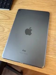 再お値下げ❗️iPad mini 第5世代　Wi-Fiモデル 美品