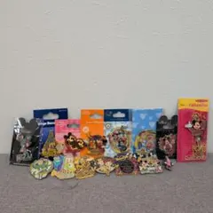 東京ディズニー ピンバッジ セット