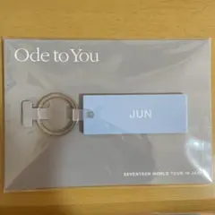 SEVENTEEN ジュン オデコン ラバーキーリング
