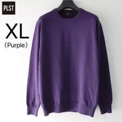 plst クルーネック メリノウール