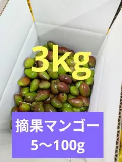 摘果マンゴー 6kg 5〜50g - メルカリ
