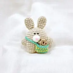 大きなチョコチップクッキーを焼いたうさぎさんが向かった先は…？★あみぐるみ