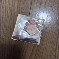 치이카와 파크 헌책방 매력
