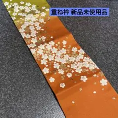 Item thumbnail for item 42a7bc48-e4e2-40a5-b675-7f6323ab7ac8