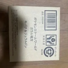 ポケモンスケールワールド ガラル地方 キバナ&ジュラルドン