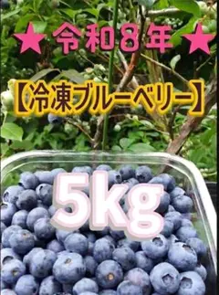 令和８年度産冷凍ブルーベリー 5ｋｇ【送料込】 令和8年度産冷凍ブルーベリー 5kg【送料込】 - メルカリ