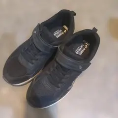 Item thumbnail for item 33df6aa1-7c91-41a1-9acc-b4ba8d9f0f1c