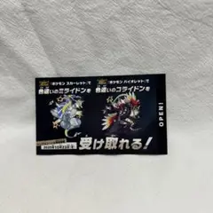ミライドン、コライドン色違い