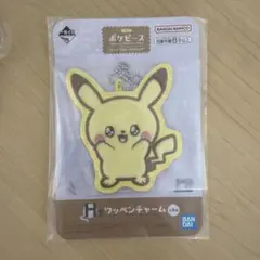 ポケモン一番くじ ワッペンチャーム