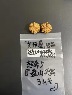 Item thumbnail for item 8f65f558-2436-4d05-be7b-f42a7a2a940f