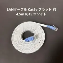 LANケーブル Cat5e フラット 約4.5m RJ45 ホワイト