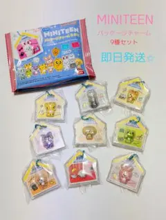 SEVENTEEN MINITEEN パッケージチャーム コンプ コンプリート | Mercari
