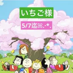 いちご様 専用ページ