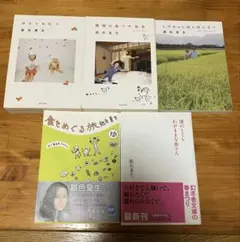 銀色夏生 文学・小説