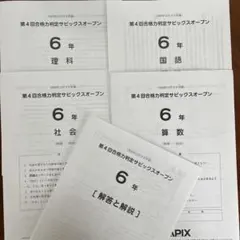 2026年最新】第4回合格力判定サピックスオープンの人気アイテム - メルカリ