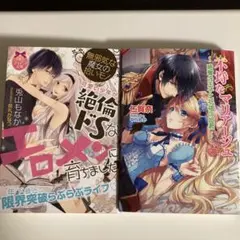 TL小説 2冊セット