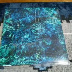 Luminescent Creatures 【通常盤】青葉市子　LP