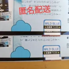 2026年最新】WILDBLUE グッズの人気アイテム - メルカリ