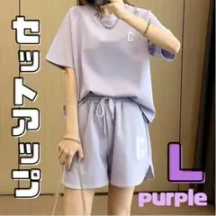 レディース ルームウェア パンツ 半袖 セットアップ 夏 スウェット パープル