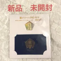 嵐のワクワク学校　バッチ　学生証