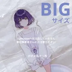 姫崎莉波 BIGアクリルスタンド 極楽湯 オンライン限定品 未開封 学マス
