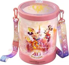 ディズニー40周年　光るポップコーンバケット　ドリームゴーラウンド