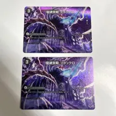 龍魂宮殿 ブラックロ/極真龍魂 オールオーバーザワールド 2枚　　A1291