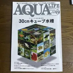 2026年最新】30cmキューブ水槽の人気アイテム - メルカリ