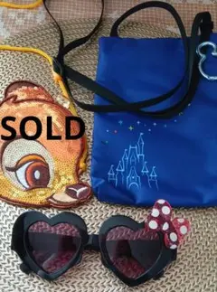東京ディズニーリゾート ポーチ、サングラス、エコバッグセット