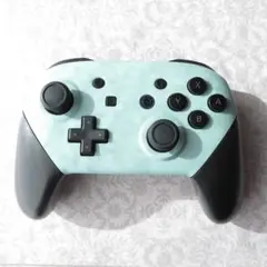 ミントグリーン Nintendo Switch カスタムコントローラー