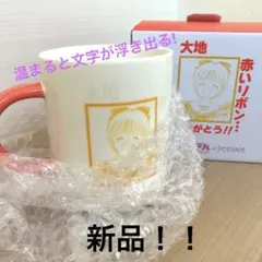 AKB48 温度変化マグカップ 宮澤佐江 - メルカリ