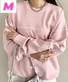 ☆ラスト1点☆ノースフェイス　ホワイトレーベル　ビンテージスウェット！