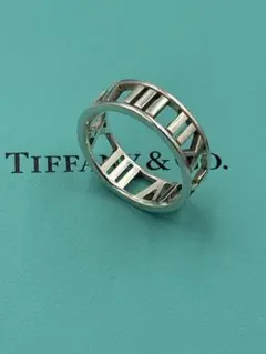 Item thumbnail for item 3d53e1fe-7f49-4e41-a454-4eed277e480e