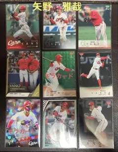 BBM 広島カープ　矢野雅哉選手　カードセット