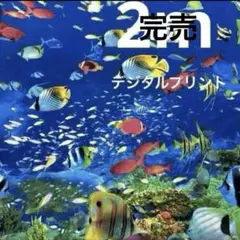 Item thumbnail for item 42a3ba30-1778-472d-924d-58ca09bd21d3