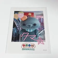 教育映画祭 教育番組 タマ VIP お渡し会 缶バッジ - メルカリ
