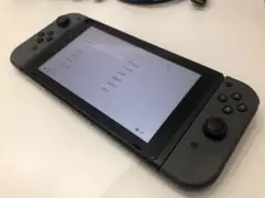 Nintendo Switch グレー 本体　動作確認・初期化済