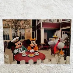 東京ディズニーシー　スプリング　ヴォヤージュ　ポストカード