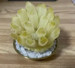 大迫力✨ 超高品質✨ シトリンクラスター 木製台座付き 3007-182.jpg