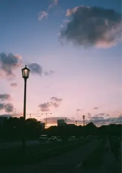 【動作確認・清掃済み＊試写あり】薄ピンク♪リコーオートハーフS 2025年最新】リコー オートハーフの人気アイテム - メルカリ