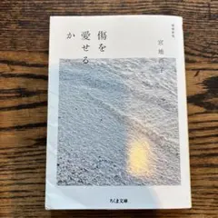 傷を愛せるか 増補新版