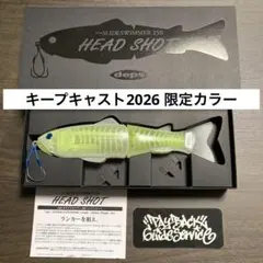 2026年最新】スライドスイマー250 キープキャストの人気アイテム